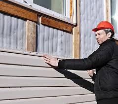 Best Historical Building Siding Restoration  in Fulton, IL